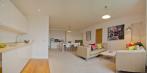 The Millfields